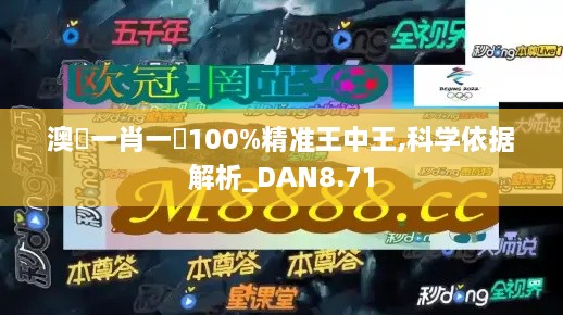 澳門一肖一碼100%精准王中王,科学依据解析_DAN8.71