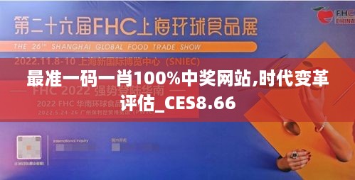 最准一码一肖100%中奖网站,时代变革评估_CES8.66