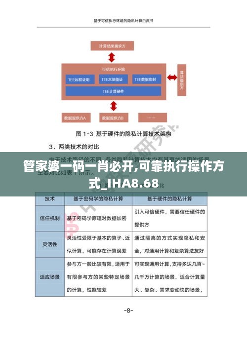 管家婆一码一肖必开,可靠执行操作方式_IHA8.68