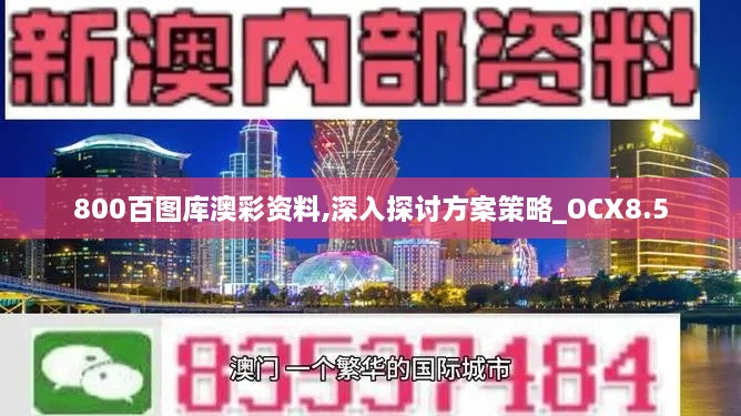 800百图库澳彩资料,深入探讨方案策略_OCX8.5