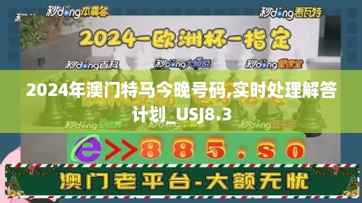 2024年澳门特马今晚号码,实时处理解答计划_USJ8.3