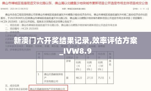 新澳门六开奖结果记录,效率评估方案_IVW8.9