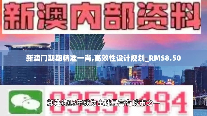 新澳门期期精准一肖,高效性设计规划_RMS8.50