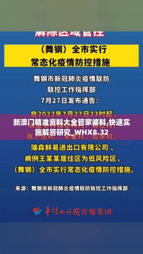 新澳门精准资料大全管家婆料,快速实施解答研究_WHX8.32