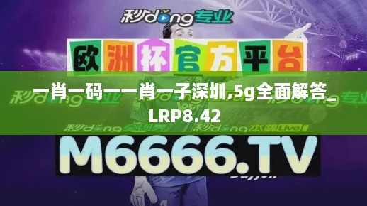 一肖一码一一肖一子深圳,5g全面解答_LRP8.42