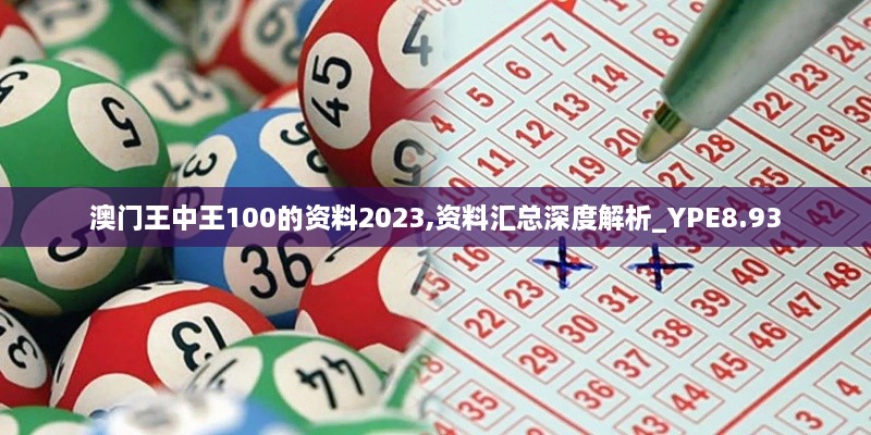 澳门王中王100的资料2023,资料汇总深度解析_YPE8.93