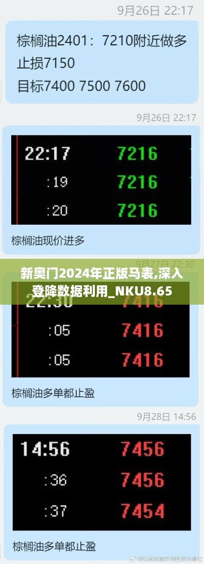 新奥门2024年正版马表,深入登降数据利用_NKU8.65