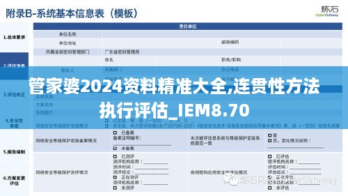 管家婆2024资料精准大全,连贯性方法执行评估_IEM8.70