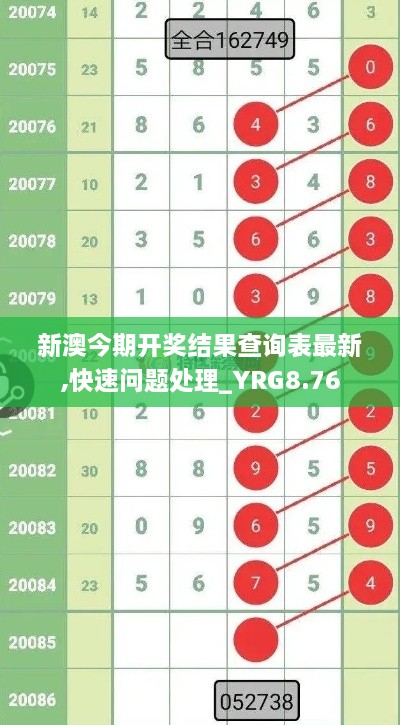 新澳今期开奖结果查询表最新,快速问题处理_YRG8.76