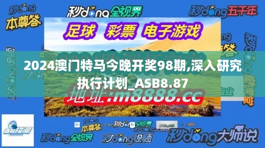 2024澳门特马今晚开奖98期,深入研究执行计划_ASB8.87