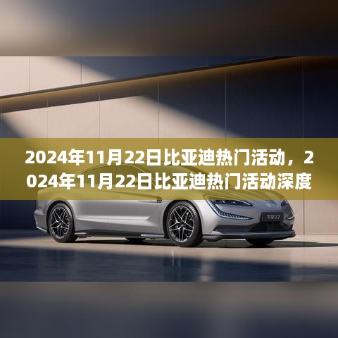 2024年11月22日比亚迪热门活动揭秘与深度解析