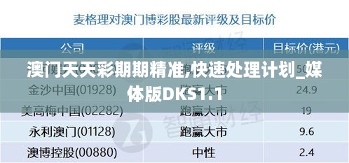 澳门天天彩期期精准,快速处理计划_媒体版DKS1.1
