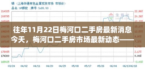 往年11月22日梅河口二手房市场深度解析，最新消息与市场动态揭秘