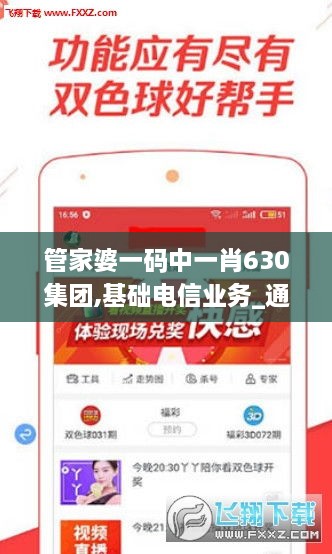 管家婆一码中一肖630集团,基础电信业务_通玄境WXX1.3