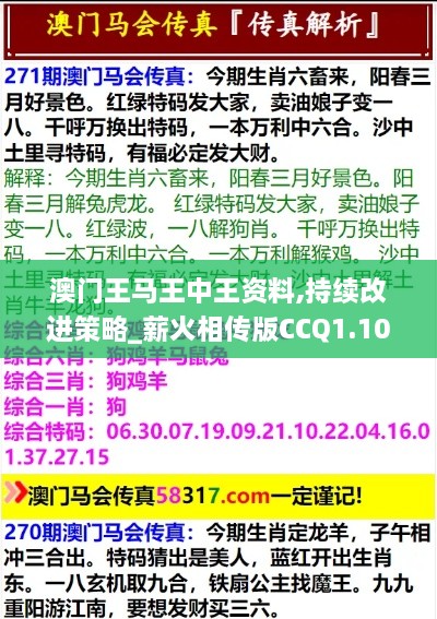 澳门王马王中王资料,持续改进策略_薪火相传版CCQ1.10