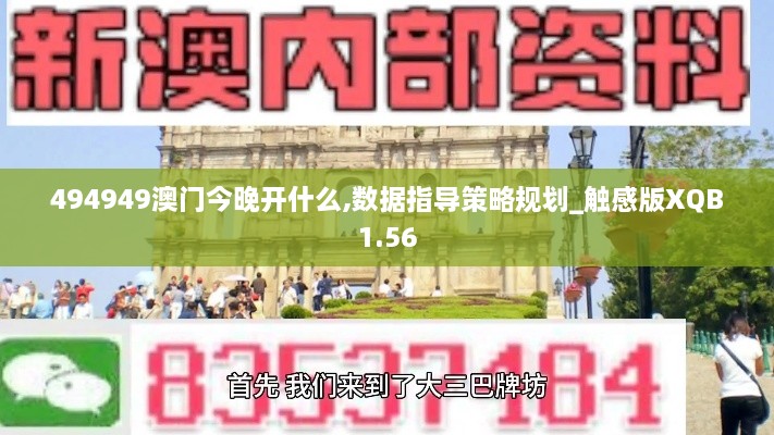 494949澳门今晚开什么,数据指导策略规划_触感版XQB1.56