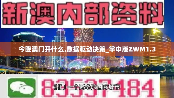 今晚澳门开什么,数据驱动决策_掌中版ZWM1.3