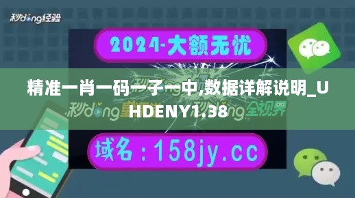 精准一肖一码一子一中,数据详解说明_UHDENY1.38