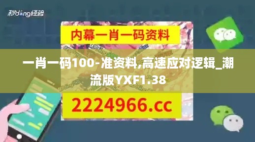 一肖一码100-准资料,高速应对逻辑_潮流版YXF1.38