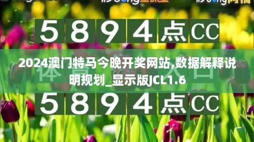 2024澳门特马今晚开奖网站,数据解释说明规划_显示版JCL1.6