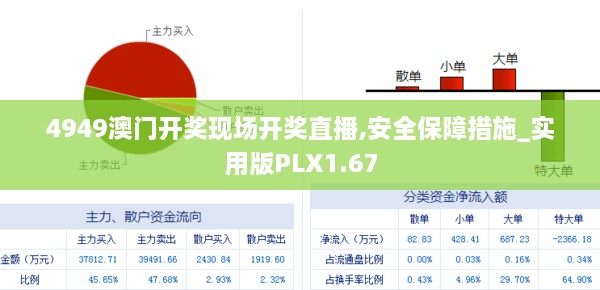 4949澳门开奖现场开奖直播,安全保障措施_实用版PLX1.67