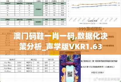 澳门码鞋一肖一码,数据化决策分析_声学版VKR1.63