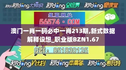 澳门一肖一码必中一肖213期,新式数据解释设想_职业版BZN1.67