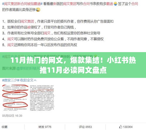 小红书热推！11月爆款网文盘点，热门网文一网打尽！