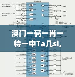 澳门一码一肖一特一中Ta几si,解析解释说法_智慧版EQB1.52