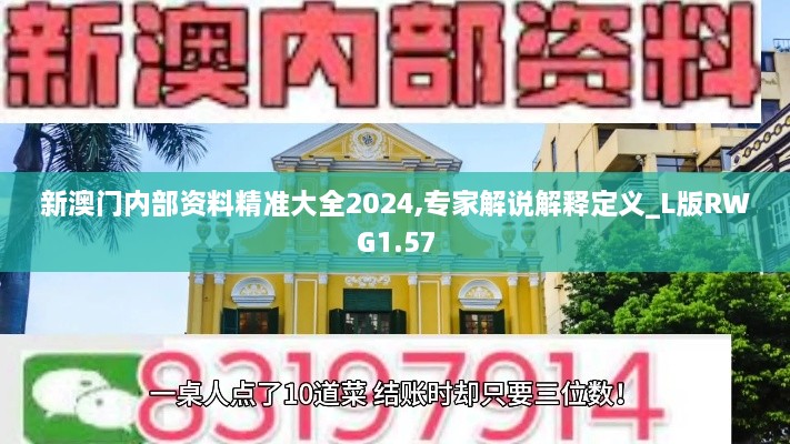 新澳门内部资料精准大全2024,专家解说解释定义_L版RWG1.57