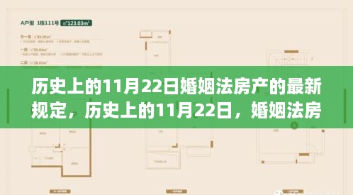 历史上的11月22日，婚姻法房产规定的新篇章，开启新信心与成就之门的重要时刻