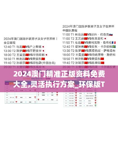 2024澳门精准正版资料免费大全,灵活执行方案_环保版TXH1.30