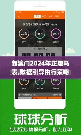 新澳门2024年正版马表,数据引导执行策略_多功能版DXX1.54