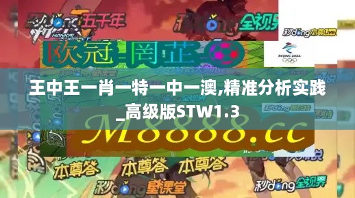 王中王一肖一特一中一澳,精准分析实践_高级版STW1.3