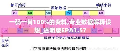 一码一肖100%的资料,专业数据解释设想_透明版EPA1.57