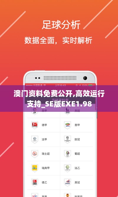 澳门资料免费公开,高效运行支持_SE版EXE1.98