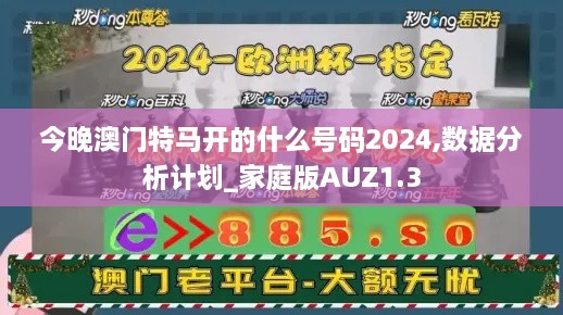 今晚澳门特马开的什么号码2024,数据分析计划_家庭版AUZ1.3