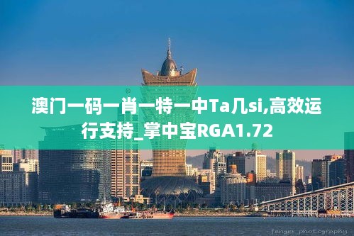 澳门一码一肖一特一中Ta几si,高效运行支持_掌中宝RGA1.72