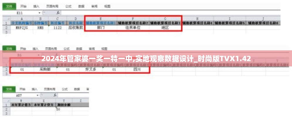 2024年管家婆一奖一特一中,实地观察数据设计_时尚版TVX1.42