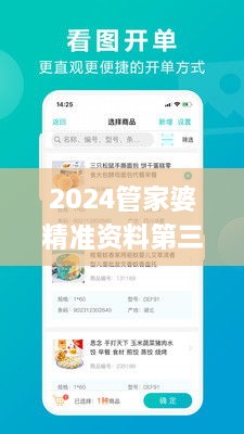 2024管家婆精准资料第三,快速问题处理_职业版CJK1.73