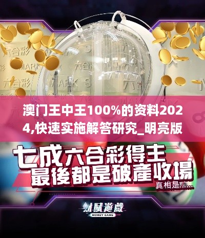 澳门王中王100%的资料2024,快速实施解答研究_明亮版CGO1.45