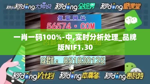 一肖一码100%-中,实时分析处理_品牌版NIF1.30