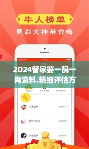 2O24管家婆一码一肖资料,精细评估方案_温馨版PZU1.50