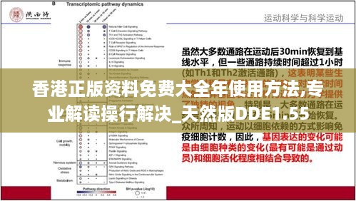 香港正版资料免费大全年使用方法,专业解读操行解决_天然版DDE1.55