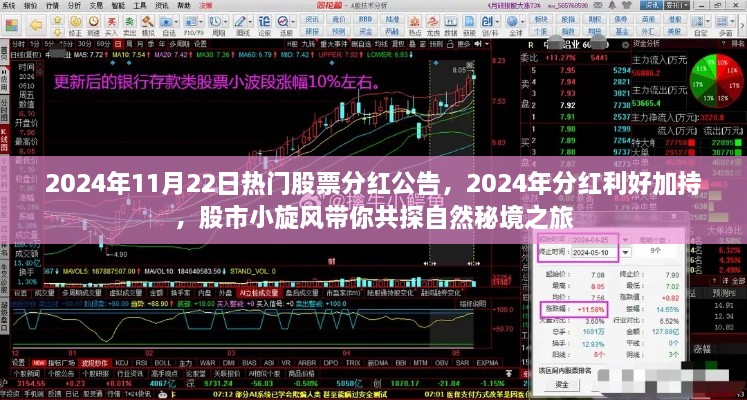 股市小旋风揭秘，热门股票分红利好加持，共探自然秘境之旅
