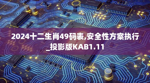 2024十二生肖49码表,安全性方案执行_投影版KAB1.11