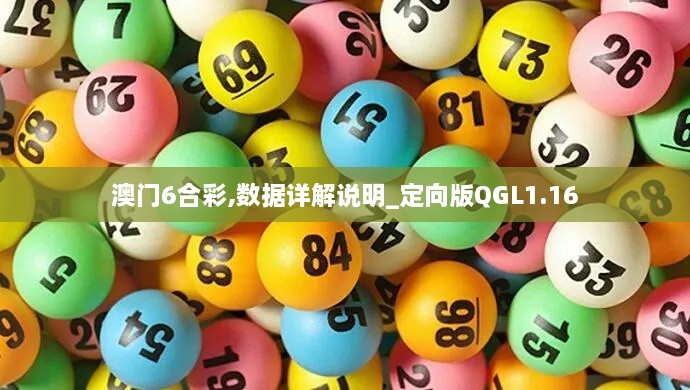 澳门6合彩,数据详解说明_定向版QGL1.16