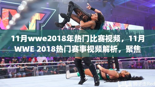 WWE 2018年11月热门赛事视频解析与个人立场碰撞，赛场内外观点大碰撞