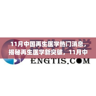 揭秘再生医学新突破，11月中国再生医学热门消息综述