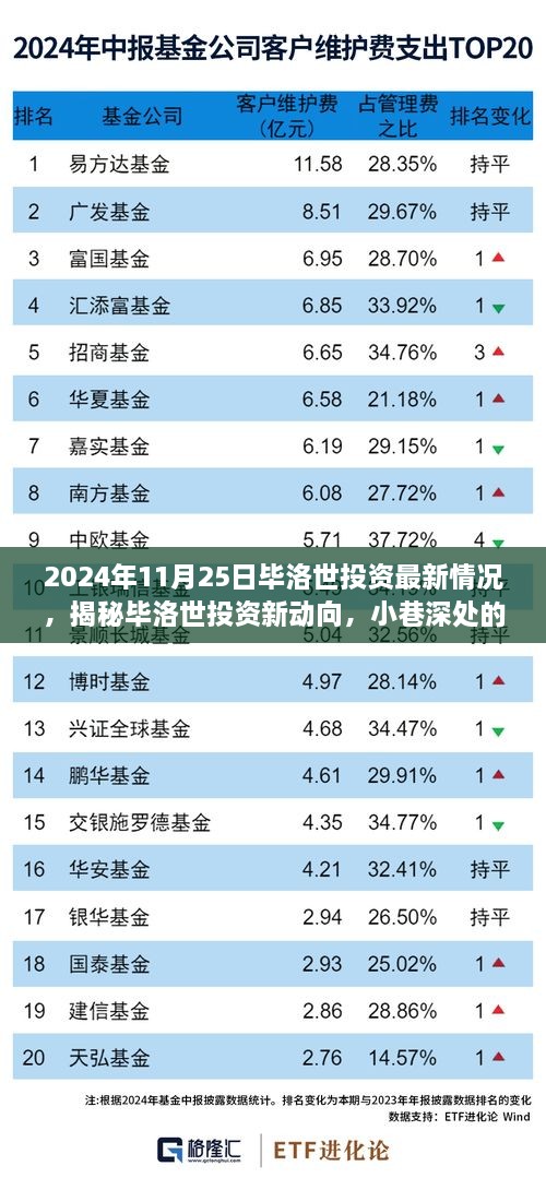 毕洛世投资最新动态揭秘，小巷深处的宝藏，2024年11月25日投资新动向曝光